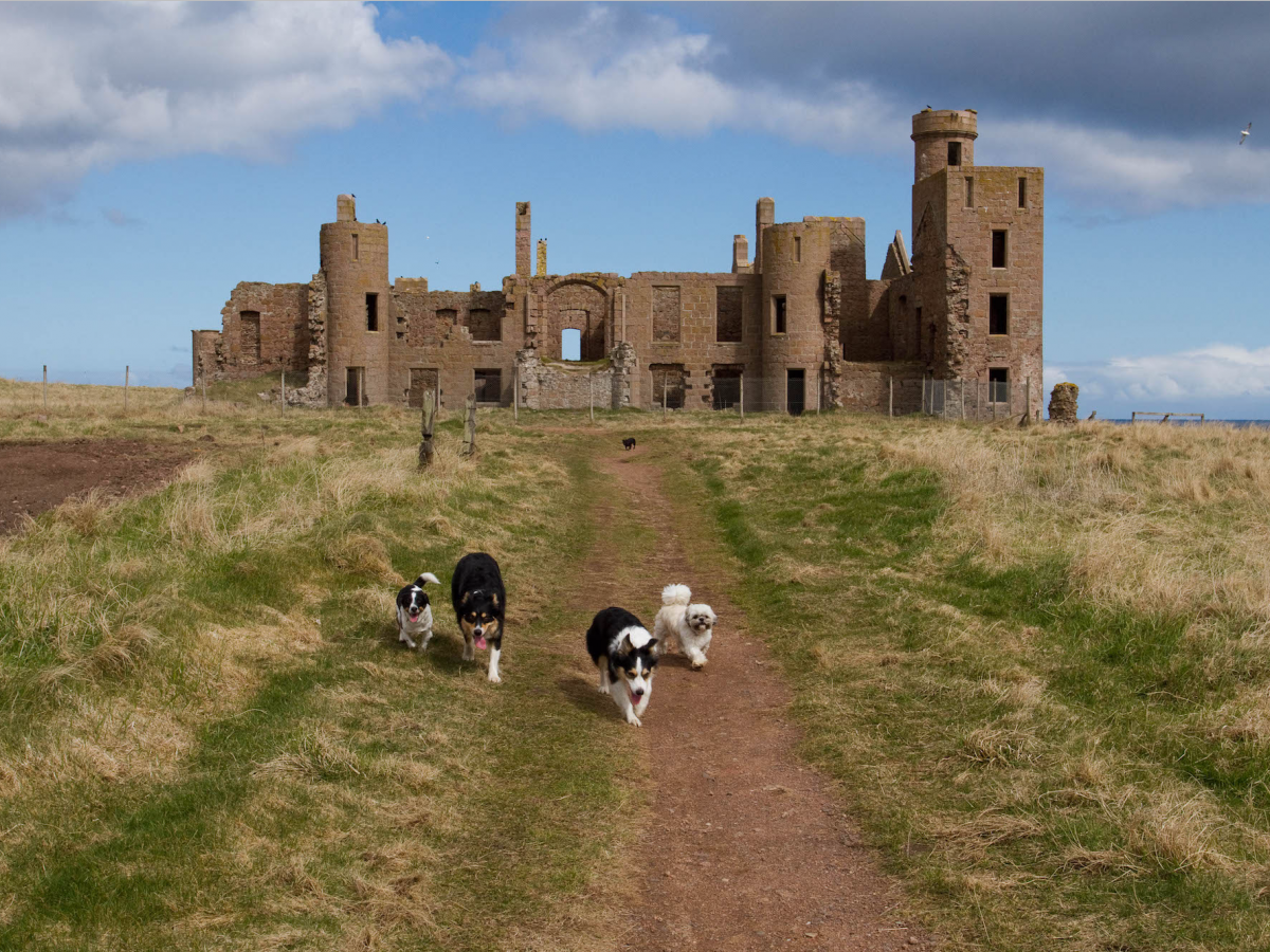 8-slains-castle-aberdeen-scotland.png