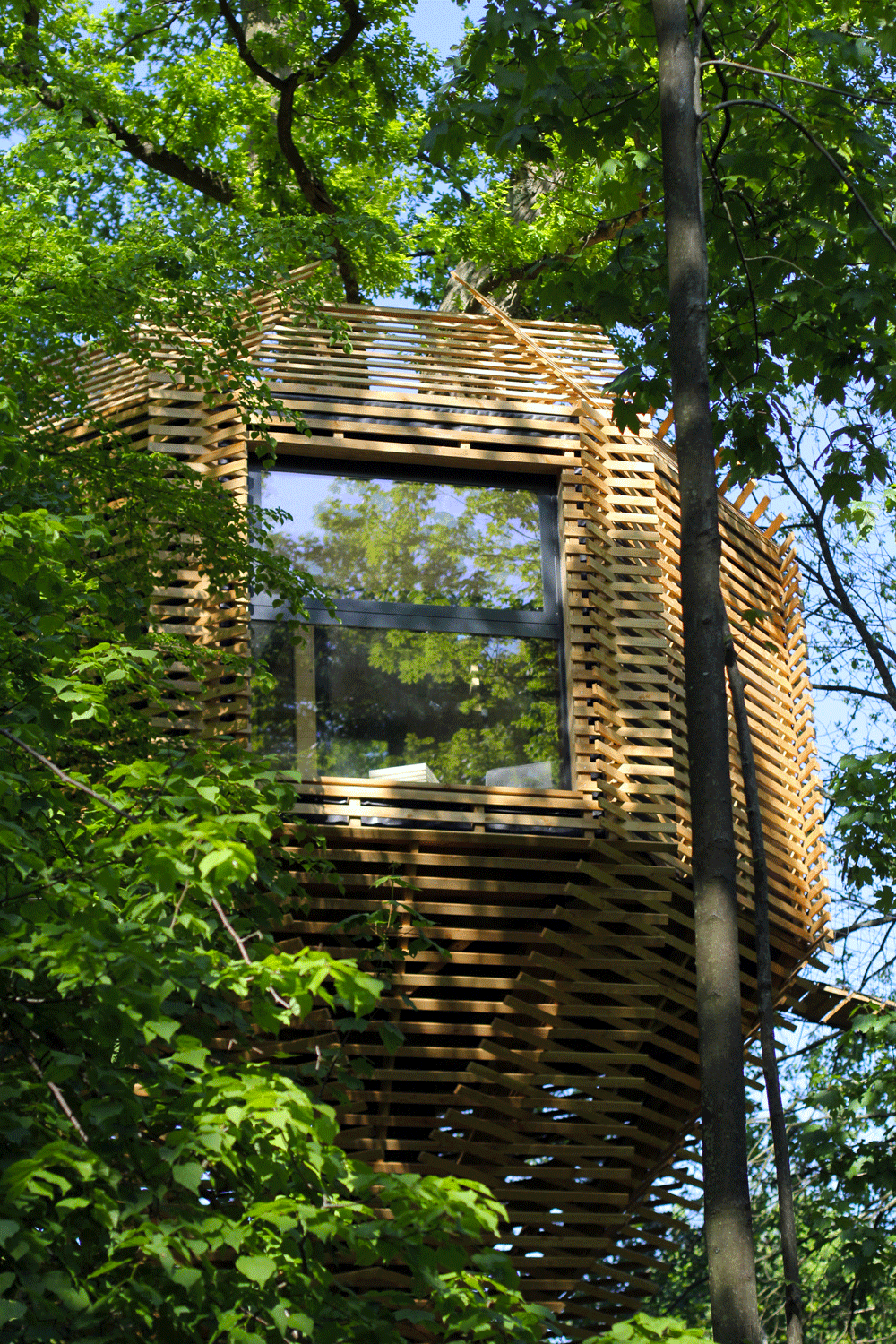 tree_house_france.gif