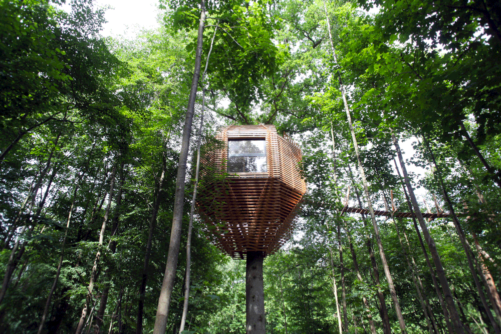 tree_houses.gif