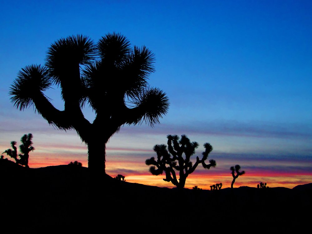 palm-springs-california.jpg