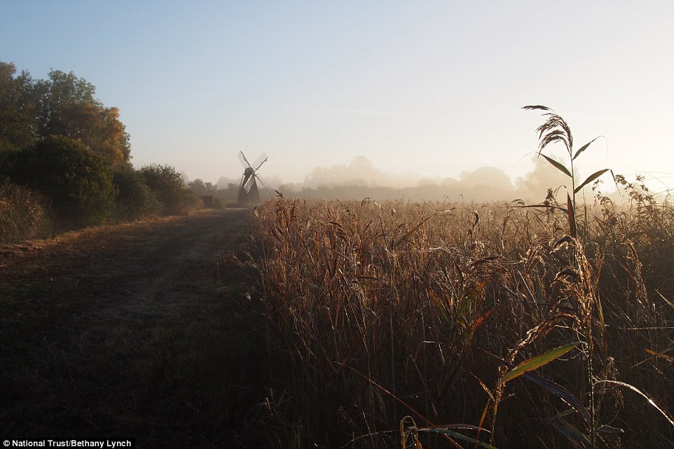 magical_in_the_early_dawn_light-a-14_1509730966153.jpg