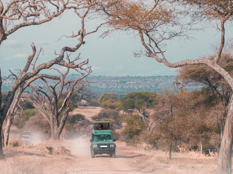 8-serengeti-national-park-tanzania.jpg