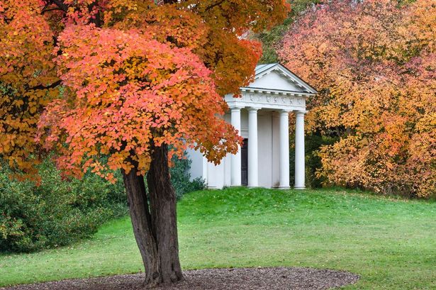 Kew-Gardens.jpg