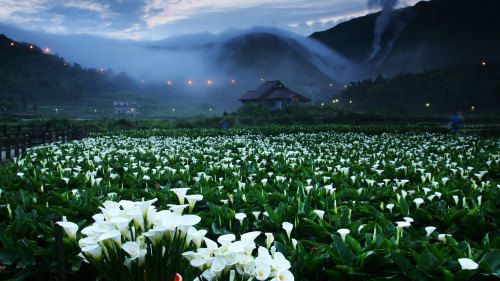 1.-Yangmingshan-National-Park.jpg