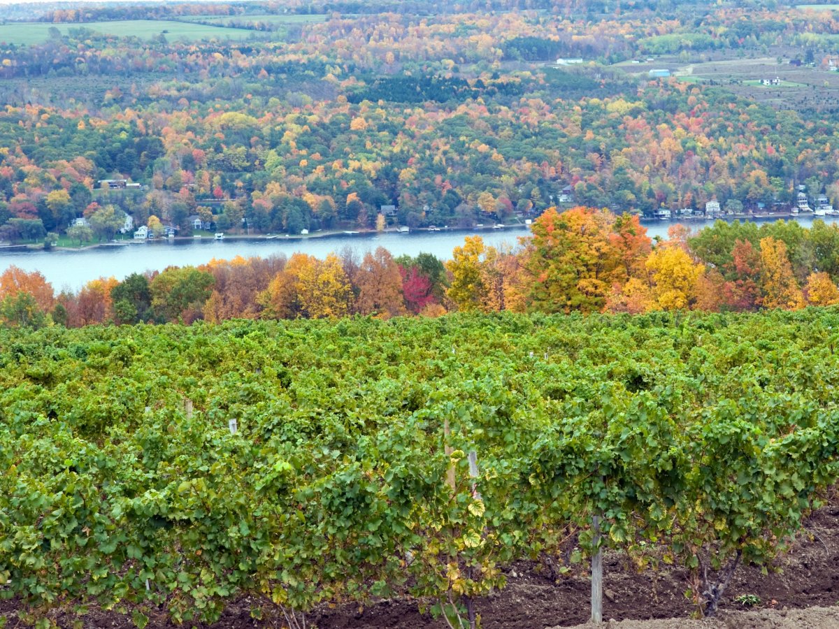 the-finger-lakes-new-york.jpg