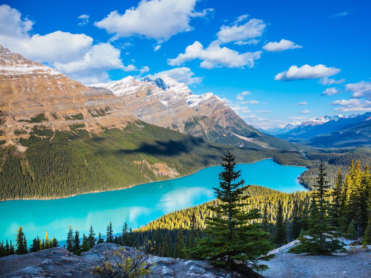 peyto-lake-banff-national-park-canada.jpg