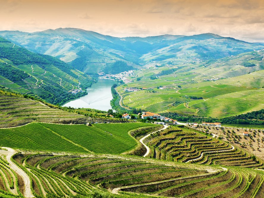 douro-valley-portugal.jpg