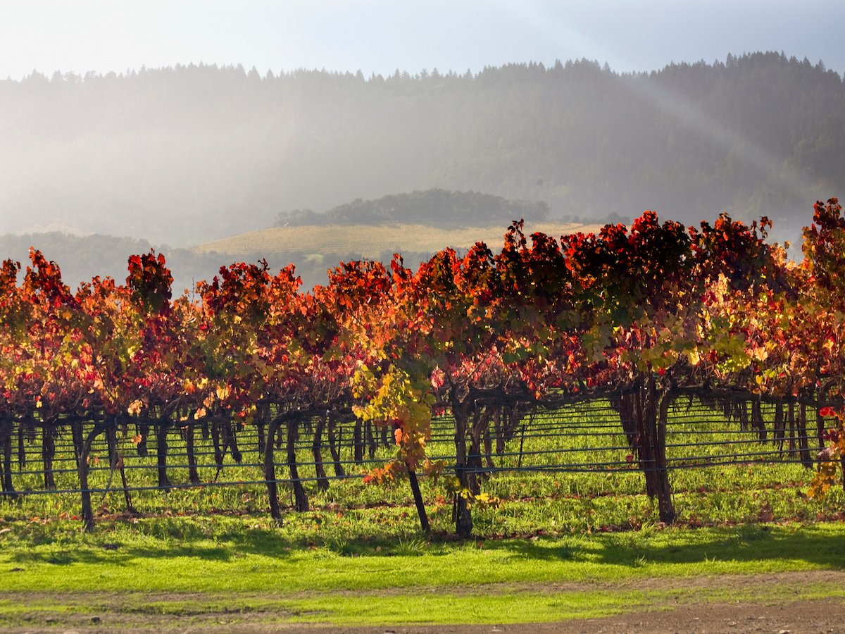 23-napa-california.jpg