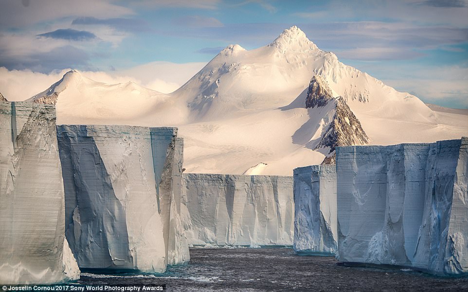 rgs_were_captured_in_Antarctica-a-16_1490521083673.jpg