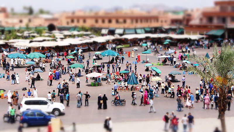 Marrakesh-offers-a-break-in-the-so-called-gardens-of-the-city.jpg