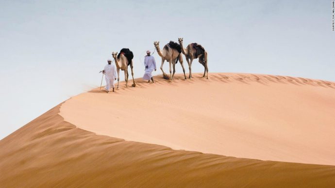 6-abu-dhabi-camels-in-the-desert-super-169-690x388.jpg