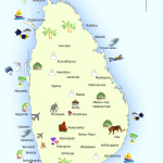 Sri-lanka-tourism-150x150.png