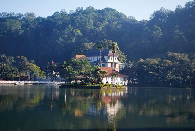 Kandy1442176.inarticleLarge.jpg