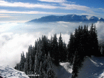 travel_photo_images_1359342840_658.gif