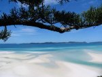 Whitehaven-Beach-Whitsunday-Island-Australia71-728x546_thumb[2].jpg