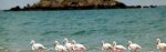 The-largest-island-in-the-Persian-Gulf-Qeshm-650x198.jpg