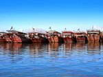 the-Dhow-Yard-is-noted-as-the-worlds-largest-dhow-building-centre.jpg