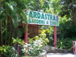 ardastra-zoo-and-gardens.jpg