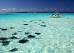 The-Cayman-Islands.jpg