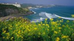 Jeju-Island-also-known-as-the-Island-of-the-Gods.jpg