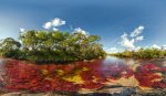 The-Liquid-Rainbow-is-caused-by-a-unique-phenomena.jpg