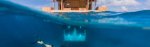 Manta-resort-underwater-hotelManta-resort-underwater-hotel-818x198.jpg