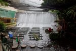 The-Waterfall-Restaurant-at-Villa-Escudero.jpe
