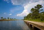 Guests-stroll-along-the-boardwalk-that-lines-the-25-acre-island-and-watch-marsh-grasses.jpg