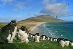 Saunders-Neck-is-the-Main-attractions-in-Falkland-Islands.jpg