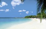 Amazing-Aruba-Insider-Review.jpg