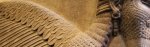 Winged-Human-Headed-Lion-from-Nimrud-940x198.jpg