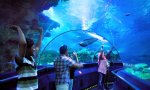 Aquaria-KLCC.jpg