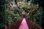 Monteverde-Cloud-Forest-Reserve.jpg