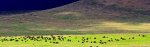 Ngorongoro-Crater-800x198.jpg