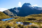 Milford-Track-Guided-Walk.jpg