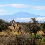 Amboseli-National-Park-150x150.jpg