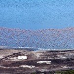 Lake-Nakuru-150x150.jpg