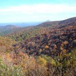 Chattahoochee-National-Forest-150x150.jpg