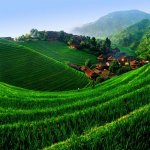 Longji-Rice-Terrace-China.jpg