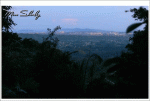 travel_tours_images_1340077279_524.gif