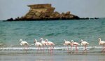 The-largest-island-in-the-Persian-Gulf-Qeshm.jpg