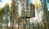 The-Treehotel-Mirror-Cube.jpg