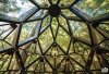 pinecone-treehouse-02-treehouse-3.jpg