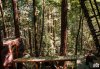 pinecone-treehouse-02-treehouse-10.jpg