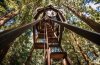 pinecone-treehouse-02-treehouse-18.jpg