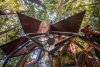 pinecone-treehouse-02-treehouse-21.jpg