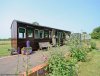 d_Railway_Sidings_in_Suffolk_whi-a-6_1543578762083.jpg