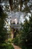 rdo-broissin-glass-treehouse-mexico-city-5-377x580.jpg