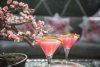 2F042FWatergate-Cherry-Blossom-Cocktail-2-1200x800.jpg