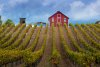 healdsburg-california-trending-greenest.jpg